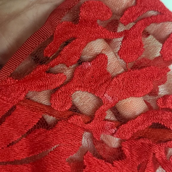 Ted Braker Elegant Red Lace Dress, size 2 - Picture 5 of 16